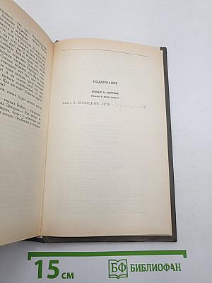 Живые и мертвые. Книга третья: Последнее лето