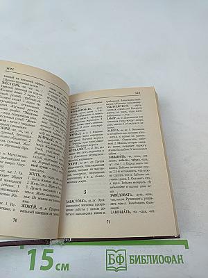 Толковый словарь русского языка для школьников