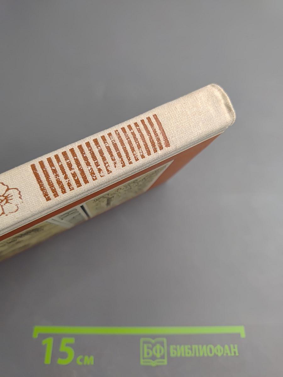 Между тремя поветриями