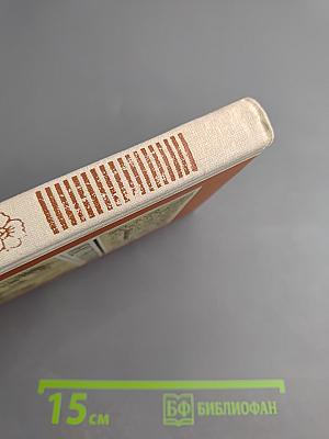 Между тремя поветриями