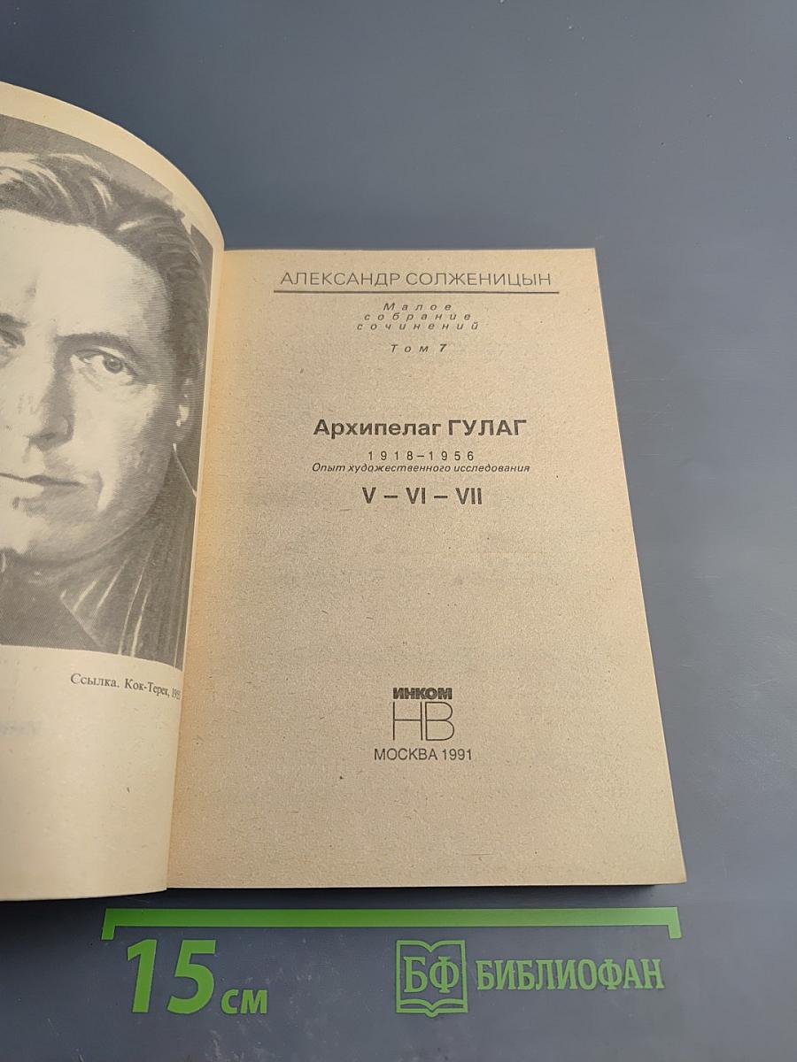 Архипелаг ГУЛАГ. Части V-VII (Том 7)