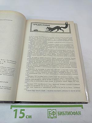 1000 советов по экономии в быту