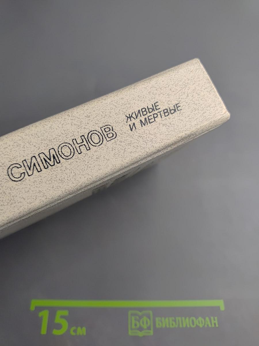 Живые и мертвые. Книга третья. Последнее лето