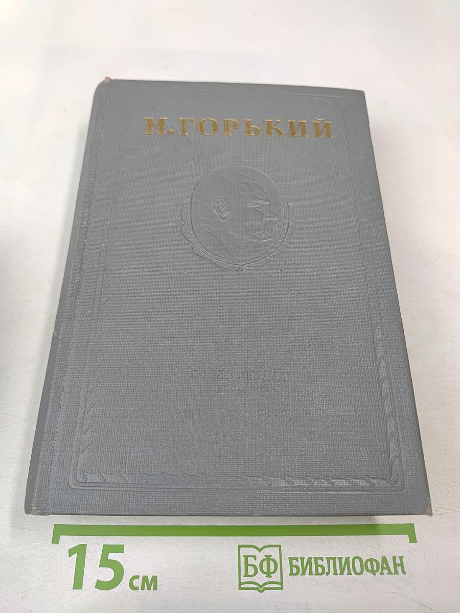 Городок Окуров. Жизнь Матвея Кожемякина