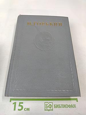 Городок Окуров. Жизнь Матвея Кожемякина