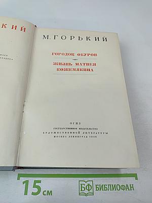 Городок Окуров. Жизнь Матвея Кожемякина