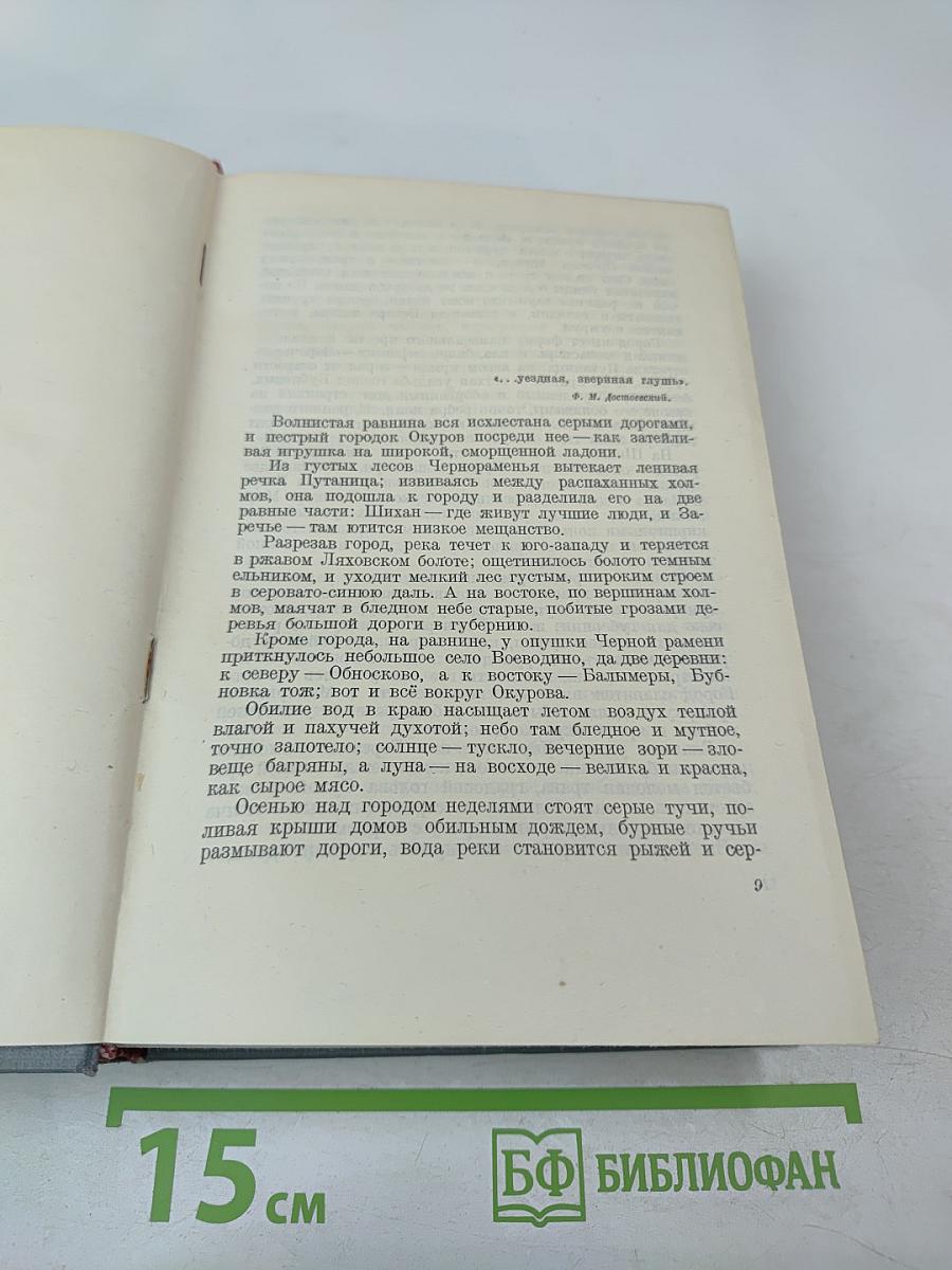 Городок Окуров. Жизнь Матвея Кожемякина