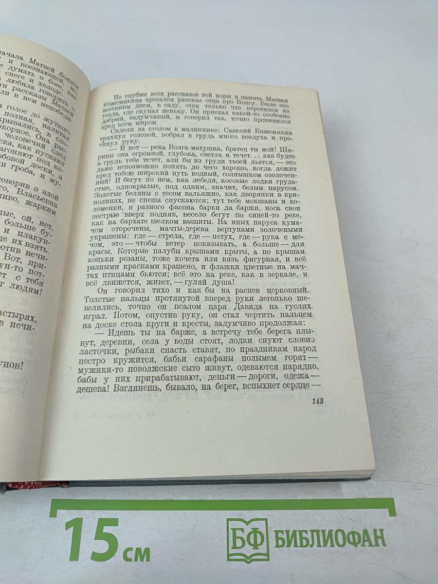 Городок Окуров. Жизнь Матвея Кожемякина