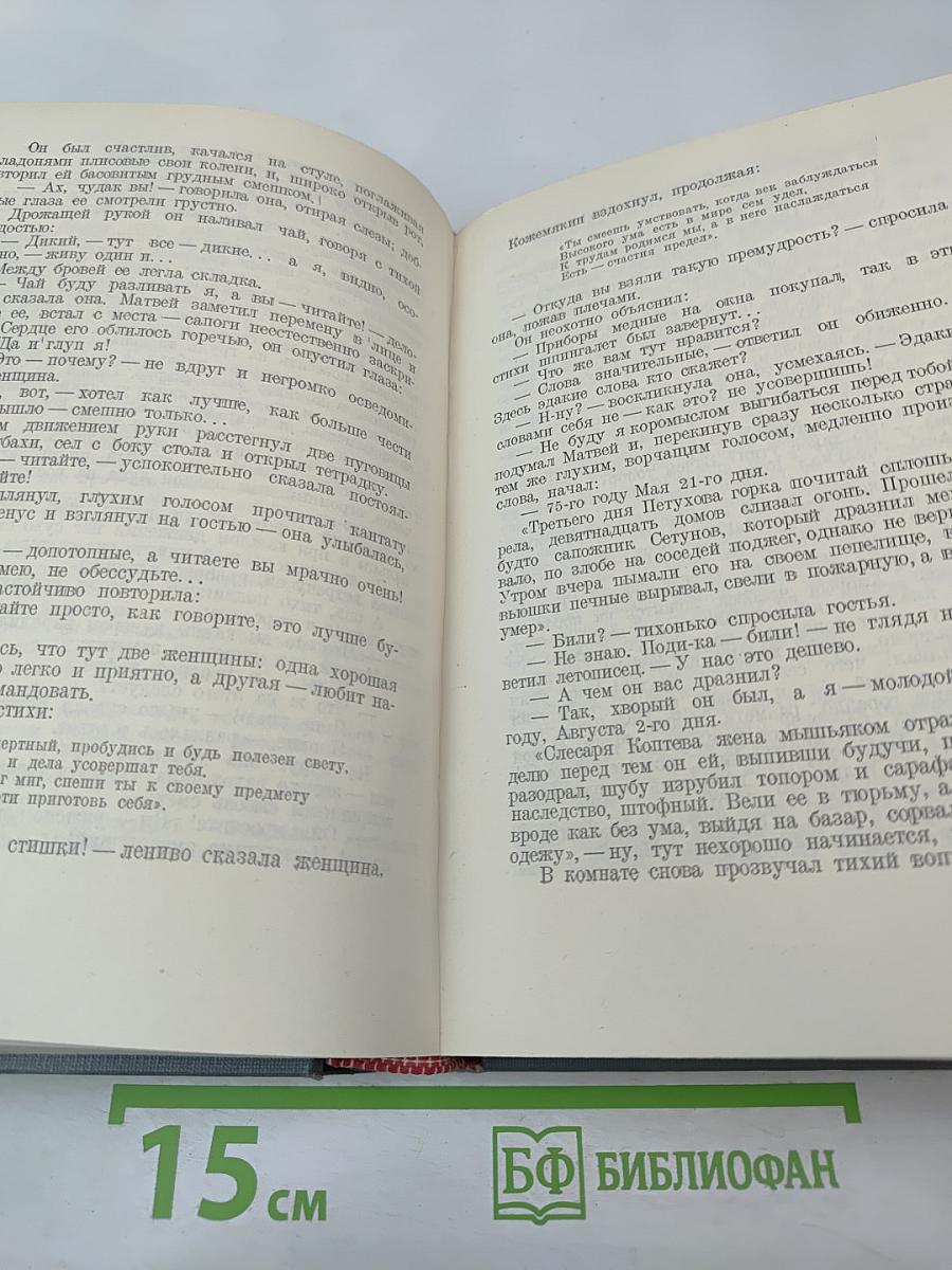 Городок Окуров. Жизнь Матвея Кожемякина
