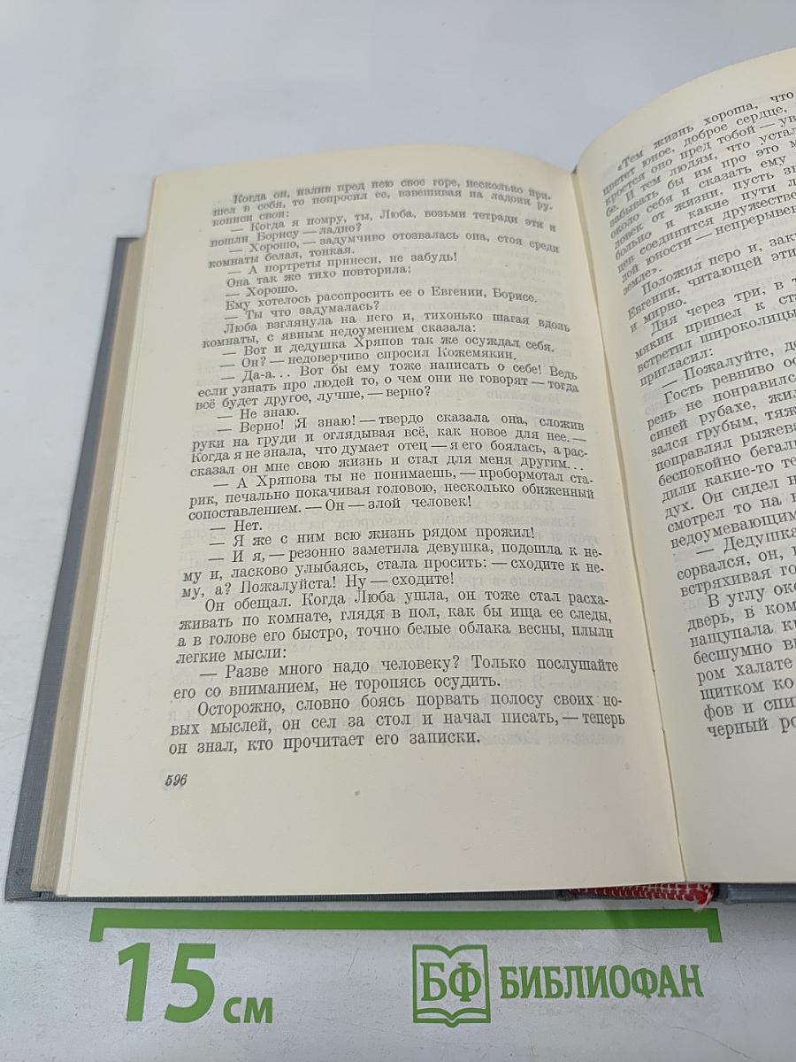 Городок Окуров. Жизнь Матвея Кожемякина