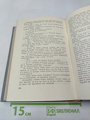 Городок Окуров. Жизнь Матвея Кожемякина