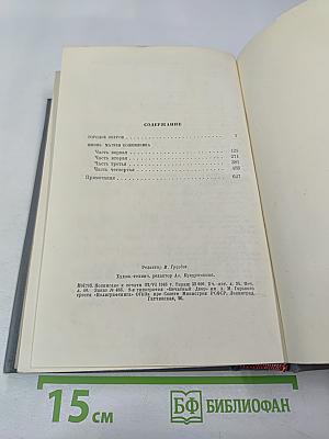 Городок Окуров. Жизнь Матвея Кожемякина