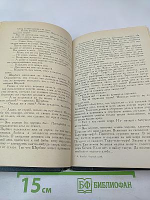 Черный хлеб