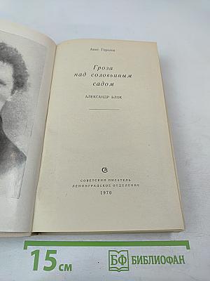 Гроза над соловьиным садом