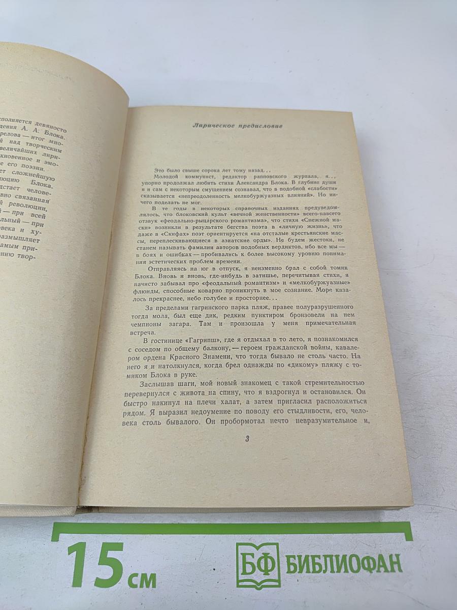 Гроза над соловьиным садом