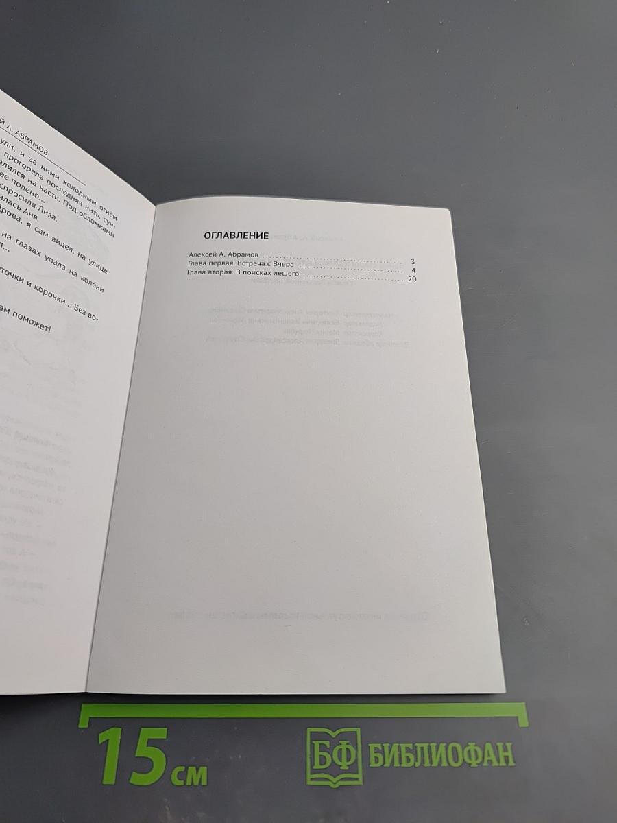 Тайна старого дома и другие приключения Лизы и Ани