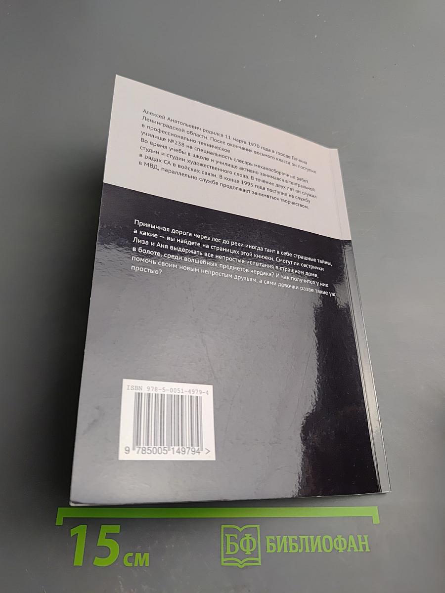 Тайна старого дома и другие приключения Лизы и Ани