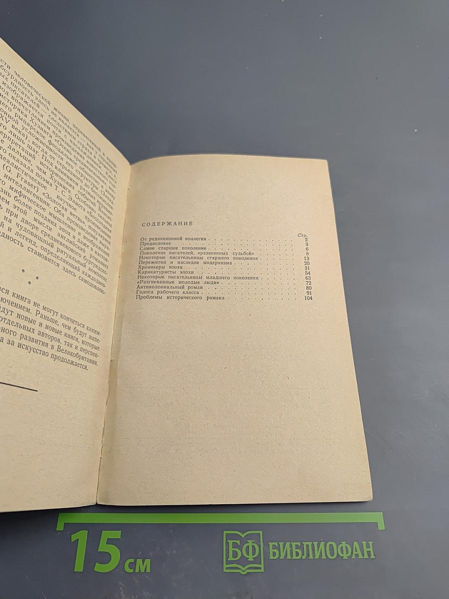 Двадцать лет английского романа