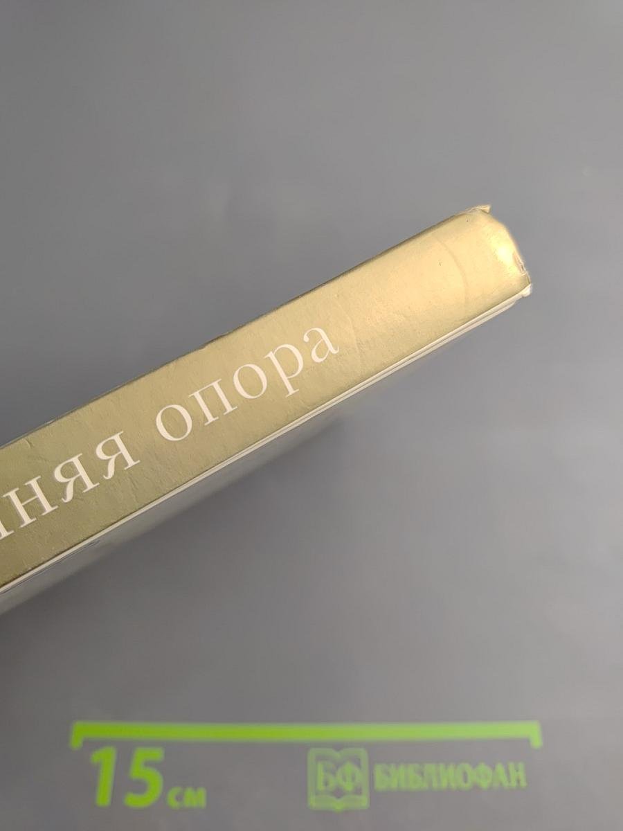 Внутренняя опора