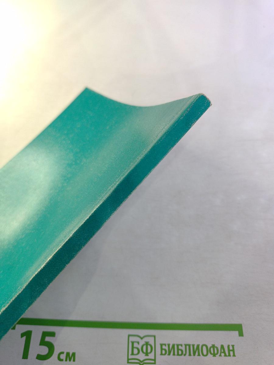 Сборник докладов Первой научно-практической конференции "Проблемы современного товарного осетроводства"