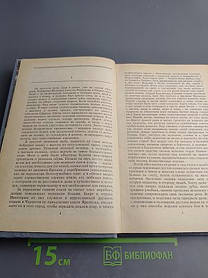 Последний путь Владимира Мономаха