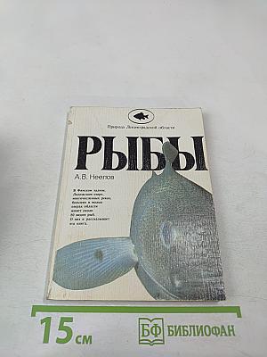 Рыбы