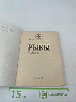 Рыбы