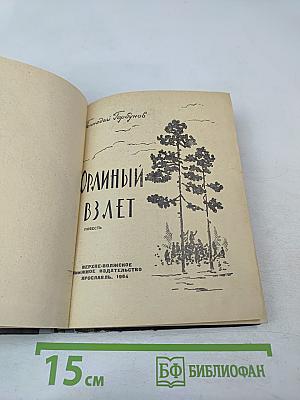 Орлиный взлет