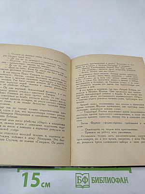 Орлиный взлет