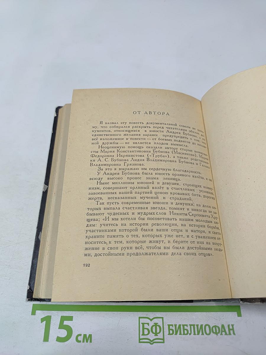 Орлиный взлет