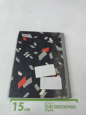 Орлиный взлет