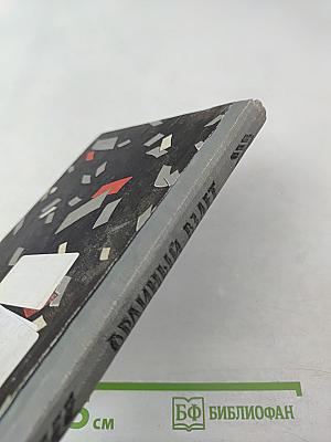 Орлиный взлет