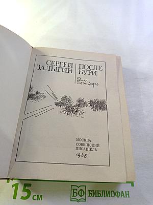 После бури. Роман. Книга вторая