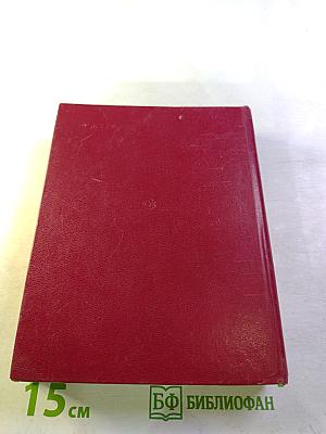 После бури. Роман. Книга вторая