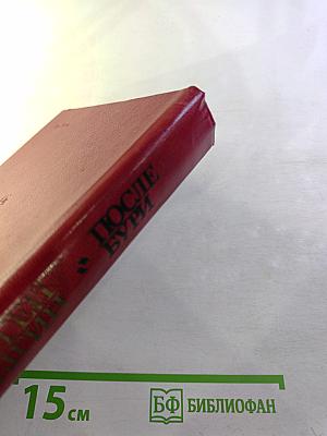 После бури. Роман. Книга вторая