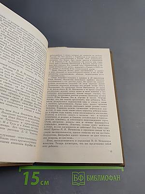 Опередивший время