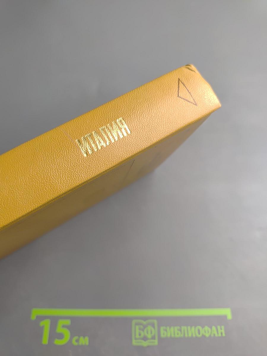 Современный монополистический капитализм. Италия