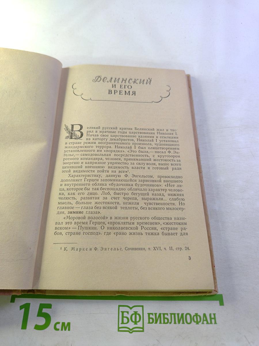 Белинский в школе