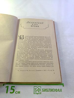 Белинский в школе