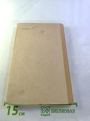 Белинский в школе