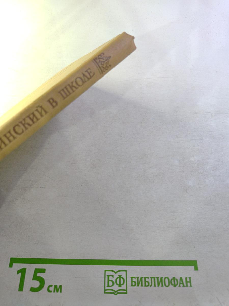 Белинский в школе