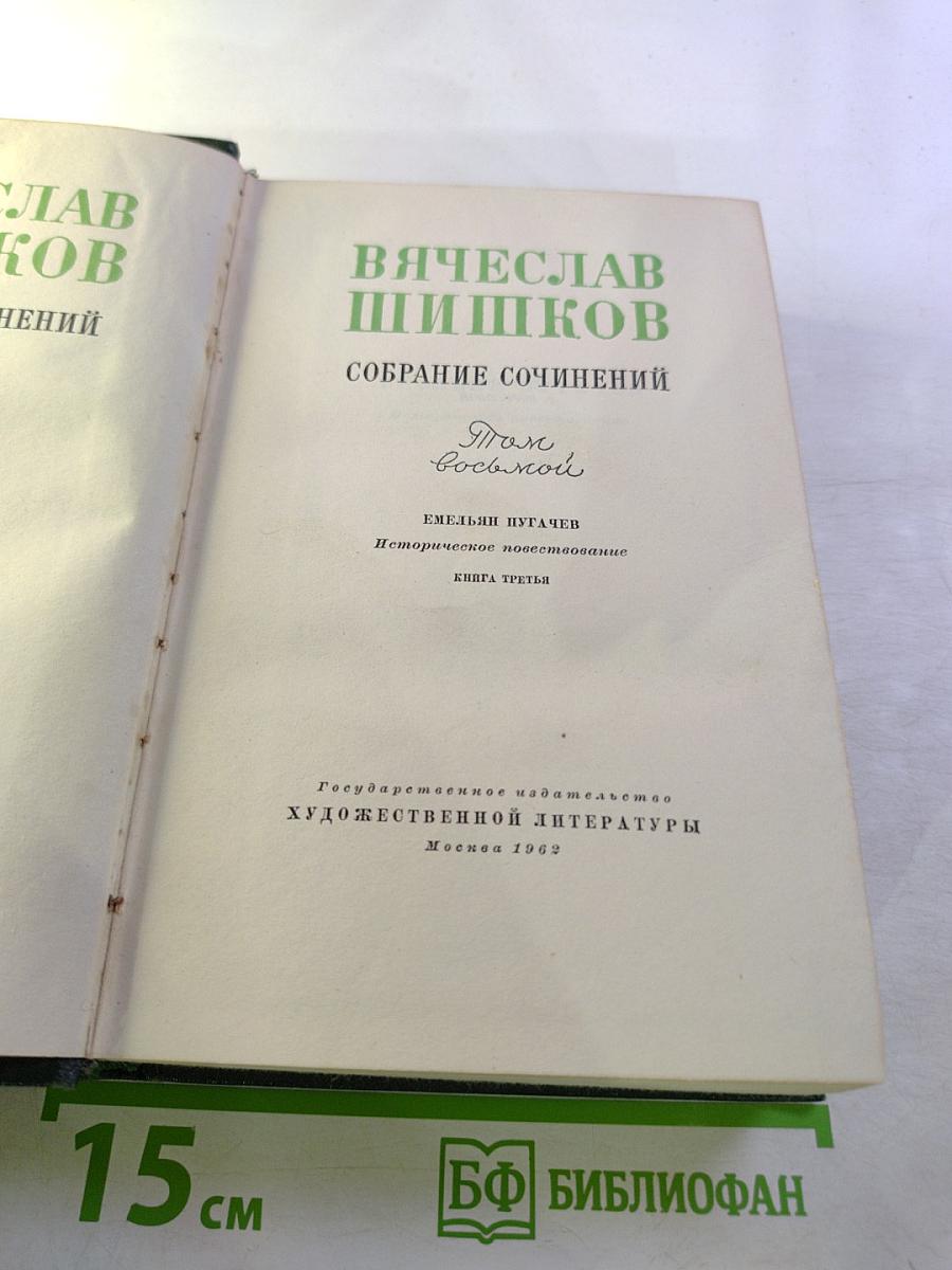 Емельян Пугачев. Книга третья