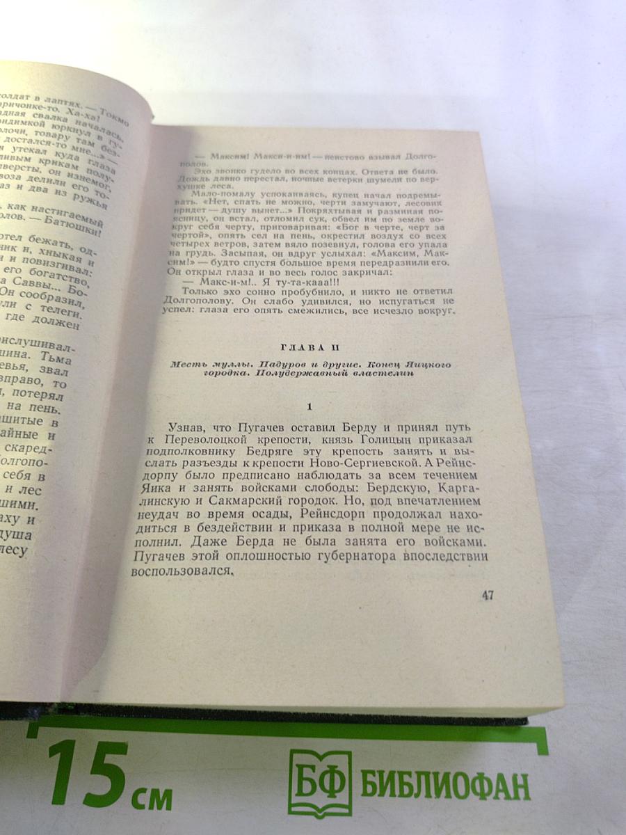 Емельян Пугачев. Книга третья