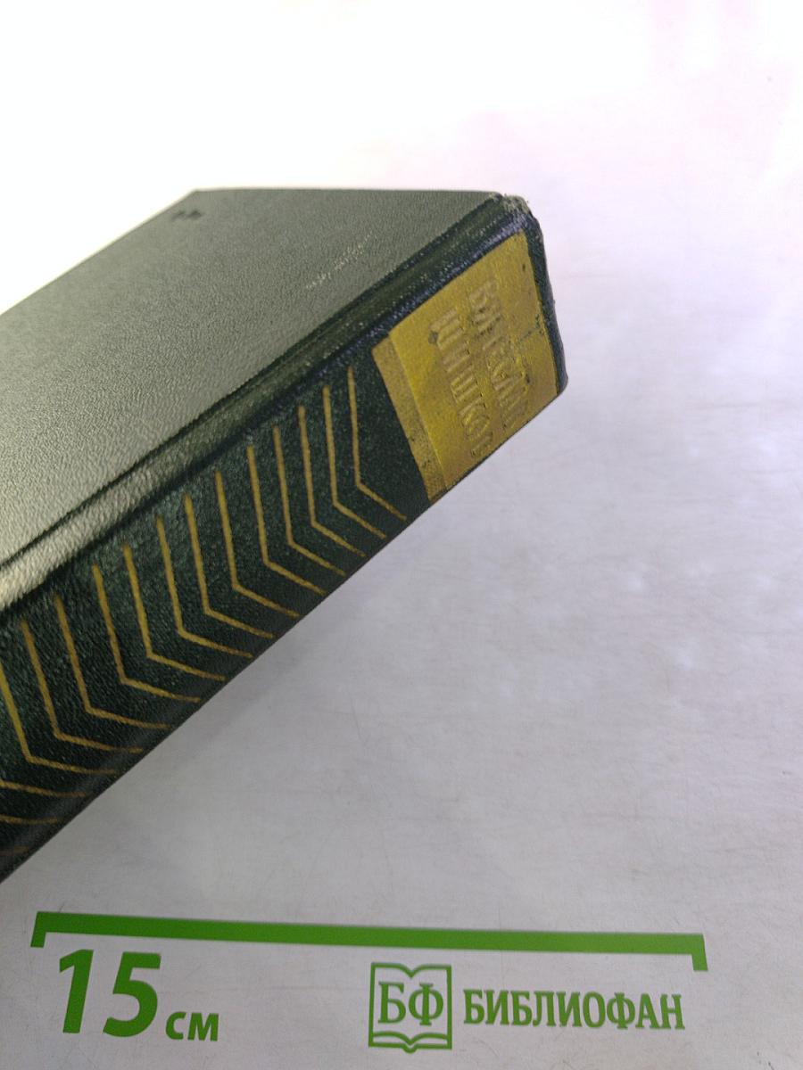 Емельян Пугачев. Книга третья