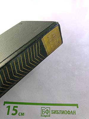 Емельян Пугачев. Книга третья