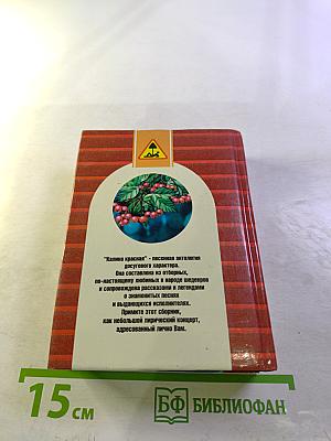 Песенник. Калина красная. Энциклопедия песен и романсов