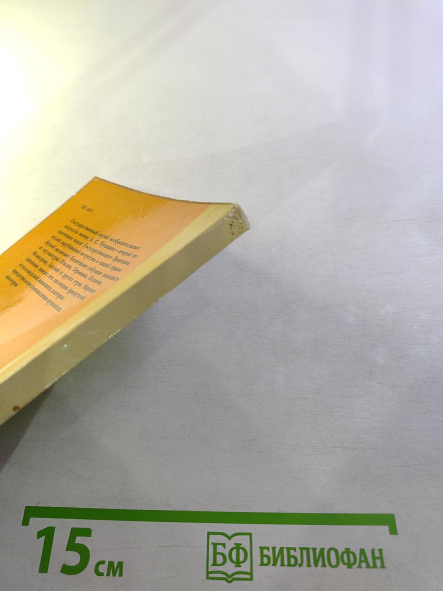 Государственный музей изобразительных искусств имени А.С. Пушкина. Путеводитель по картинной галерее