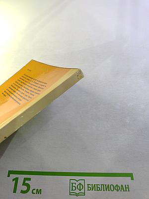 Государственный музей изобразительных искусств имени А.С. Пушкина. Путеводитель по картинной галерее