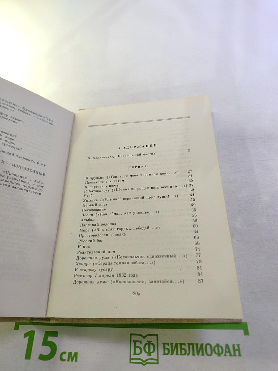 П. А. Вяземский. Лирика