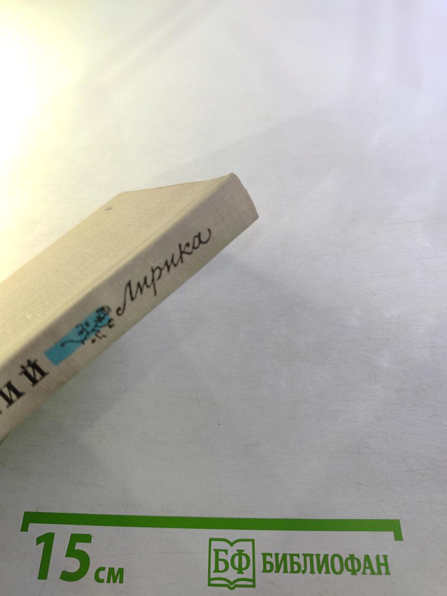 П. А. Вяземский. Лирика